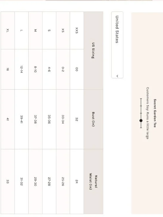 NWT Free People Secret Garden Tee in Ivory - Picture 4 of 4